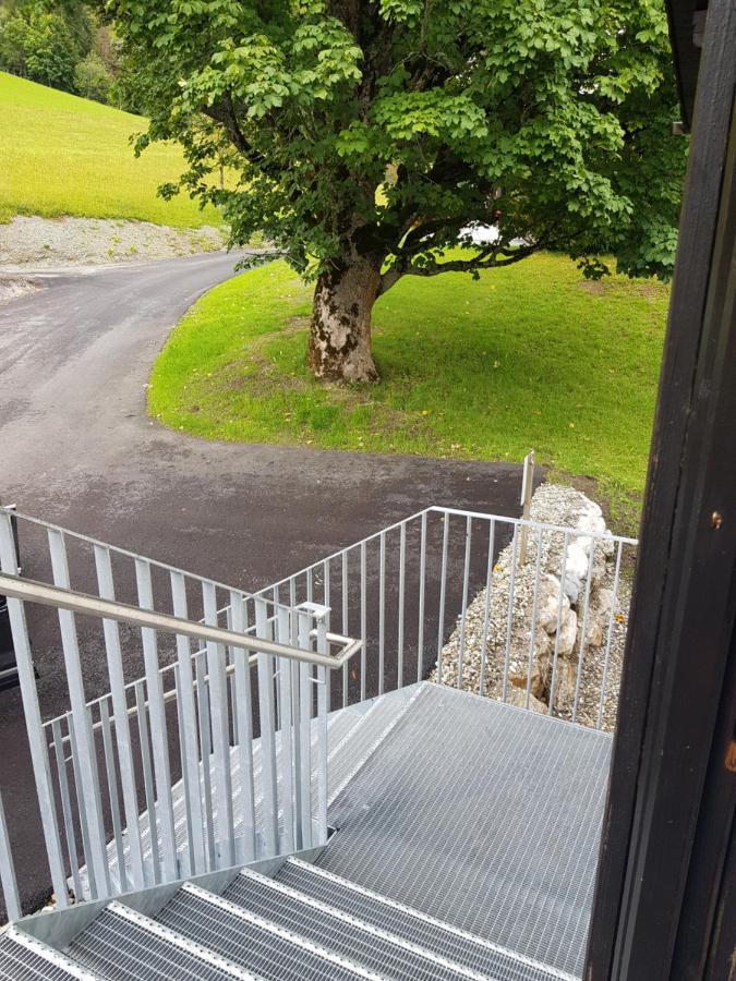 Appartement Muehlebnerhof ラムサウ・アム・ダッハシュタイン エクステリア 写真