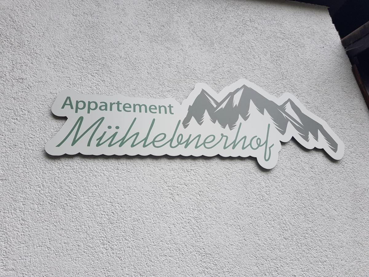 Appartement Muehlebnerhof ラムサウ・アム・ダッハシュタイン エクステリア 写真